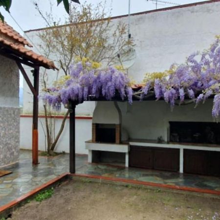 Villa Afroditi Vrasná Dış mekan fotoğraf