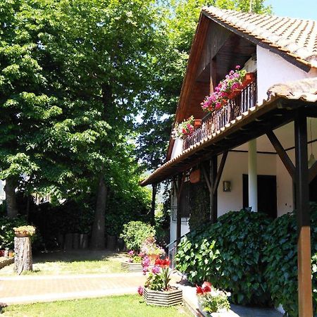 Villa Afroditi Vrasná Dış mekan fotoğraf