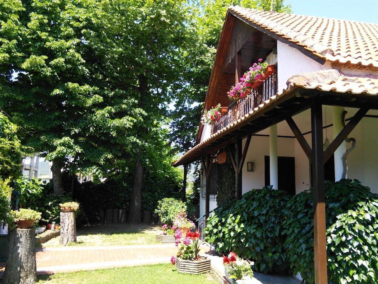 Villa Afroditi Vrasná Dış mekan fotoğraf