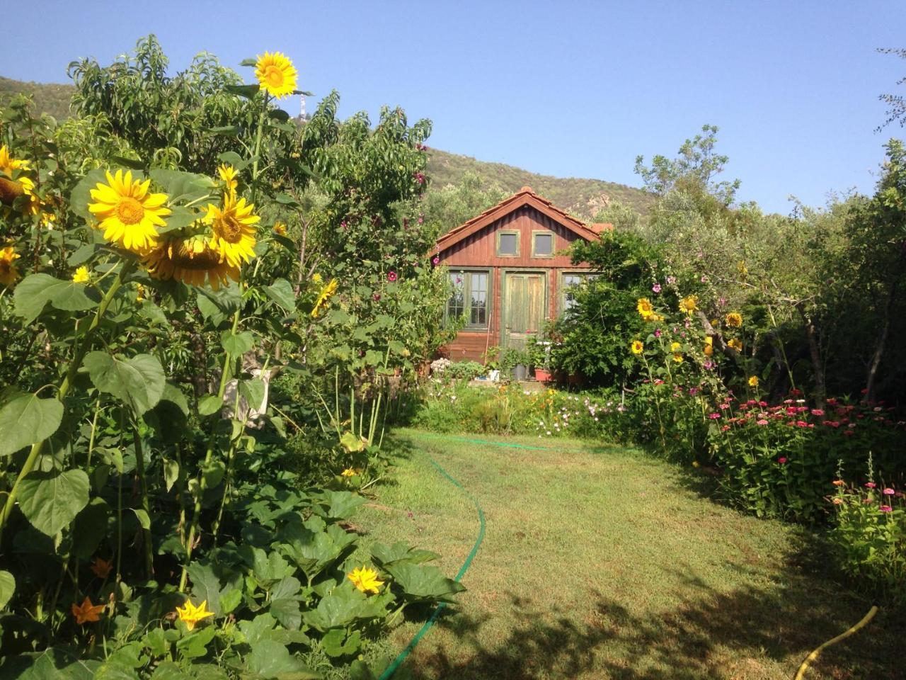 Villa Afroditi Vrasná Dış mekan fotoğraf