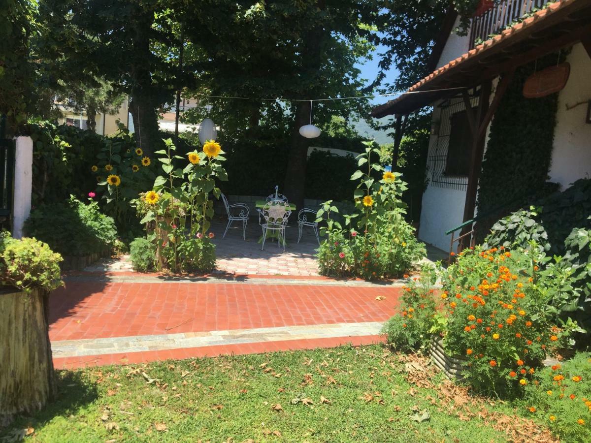 Villa Afroditi Vrasná Dış mekan fotoğraf